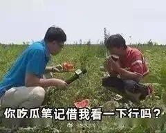 晋江娱乐圈吃瓜文,揭秘幕后真相,吃瓜群众狂欢时刻